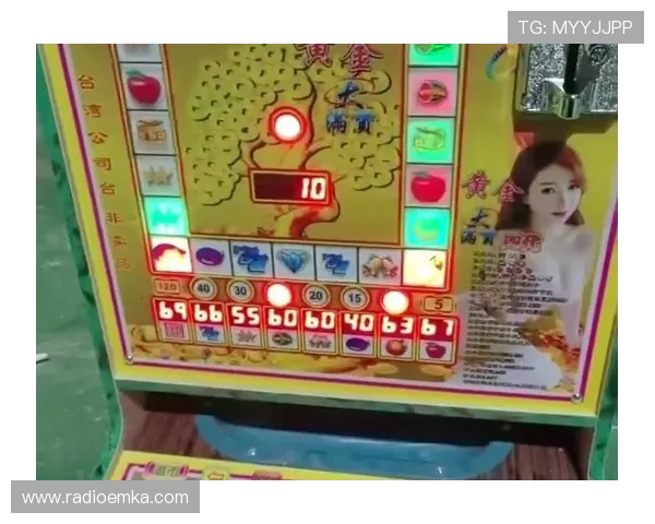 官方老虎机平台正规授权，保障玩家资金安全与游戏公正