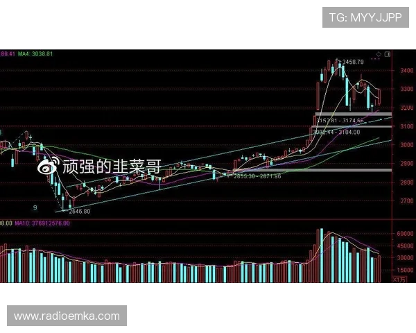 全面解析FC发财电子官网入口的最新更新内容与安全保障措施，保障玩家权益
