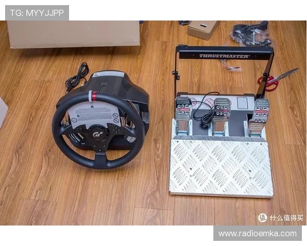 通过PA电子模拟器官网获取专业的技术支持与客户服务，解决使用中的疑问